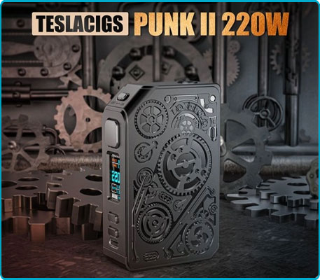 Punk II Mod 220W – Teslacigs